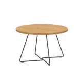 Molland Coffee Table