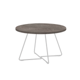 Molland Coffee Table