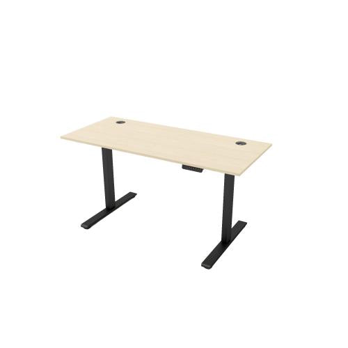 R810 Sit Stand Desk