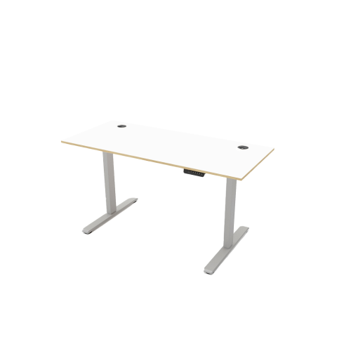 R810 Sit Stand Desk