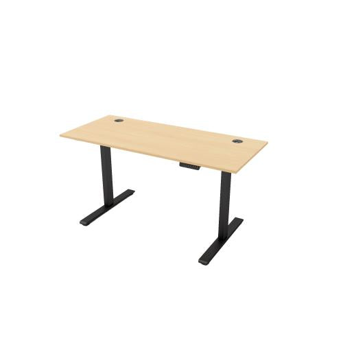 R810 Sit Stand Desk