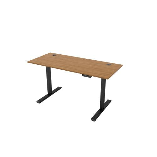 R810 Sit Stand Desk