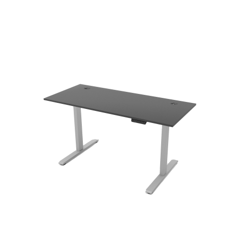 R810 Sit Stand Desk