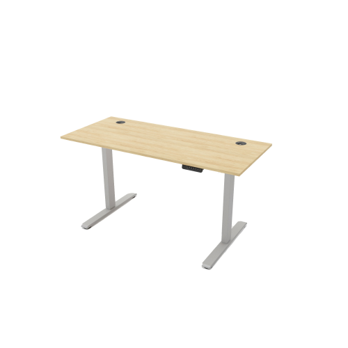 R810 Sit Stand Desk