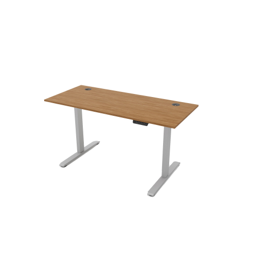 R810 Sit Stand Desk