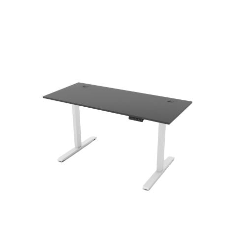 R810 Sit Stand Desk