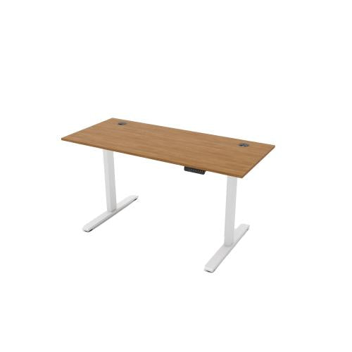 R810 Sit Stand Desk